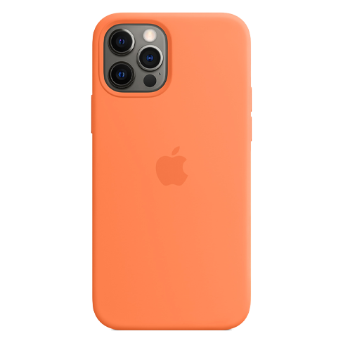 iPhone 12/12 Pro чехол (Silicone Case MagSafe)