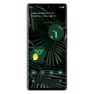 Google Pixel 6 Pro 12GB + 128GB DS Stormy Black | Bite