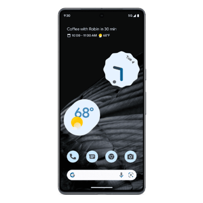 Google Pixel 7 Pro Obsidian | Bite